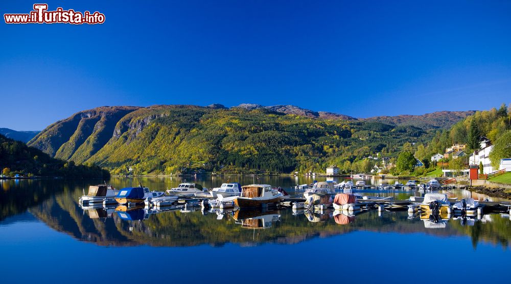 Immagine Il fiordo di Ulvik in Norvegia