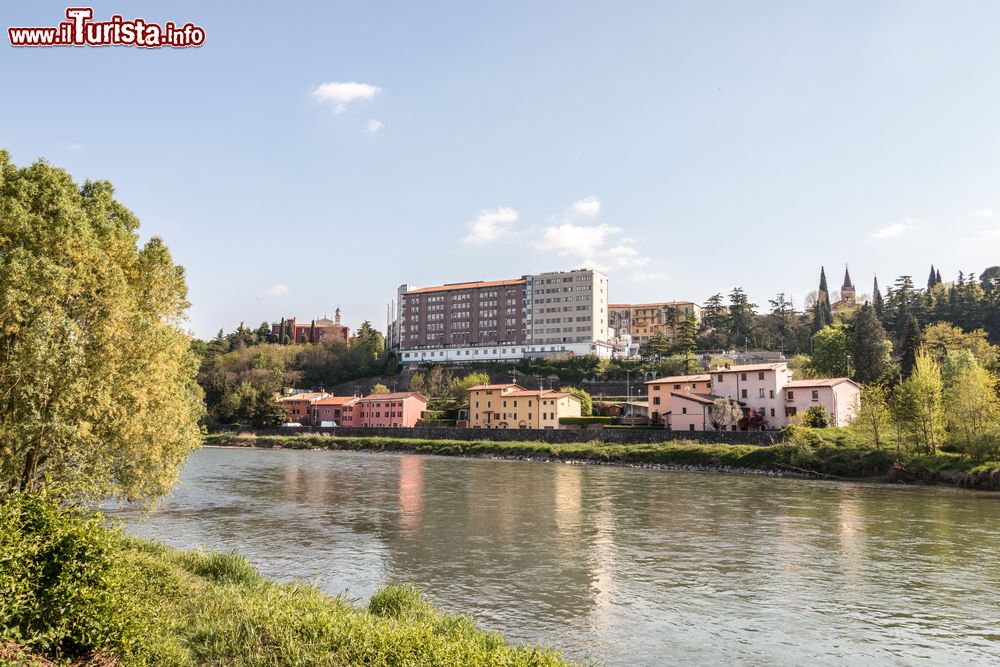 Immagine Il fiume Adige a Bussolengo in Vento, provincia di Verona