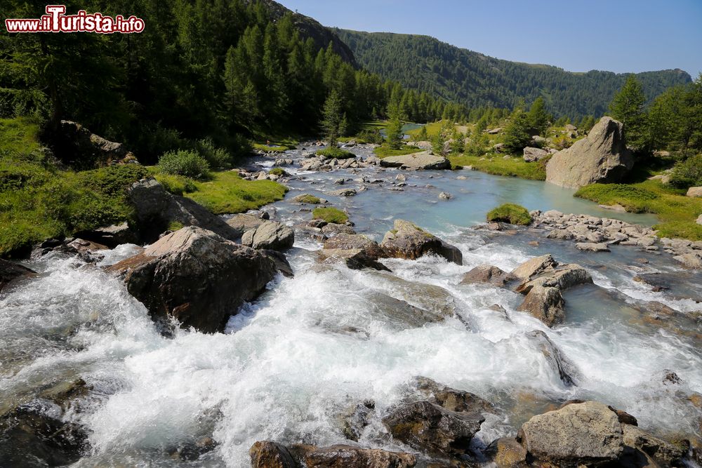 Immagine Il fiume che attraversa la Val Masino fotografato in estate, provincia di Sondrio, Lombardia.
