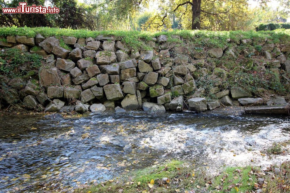Immagine Il Fiume Ciuffenna in Toscana, fotografato a Terranuova Bracciolini in provincia di Arezzo  - © LigaDue / Shutterstock.com