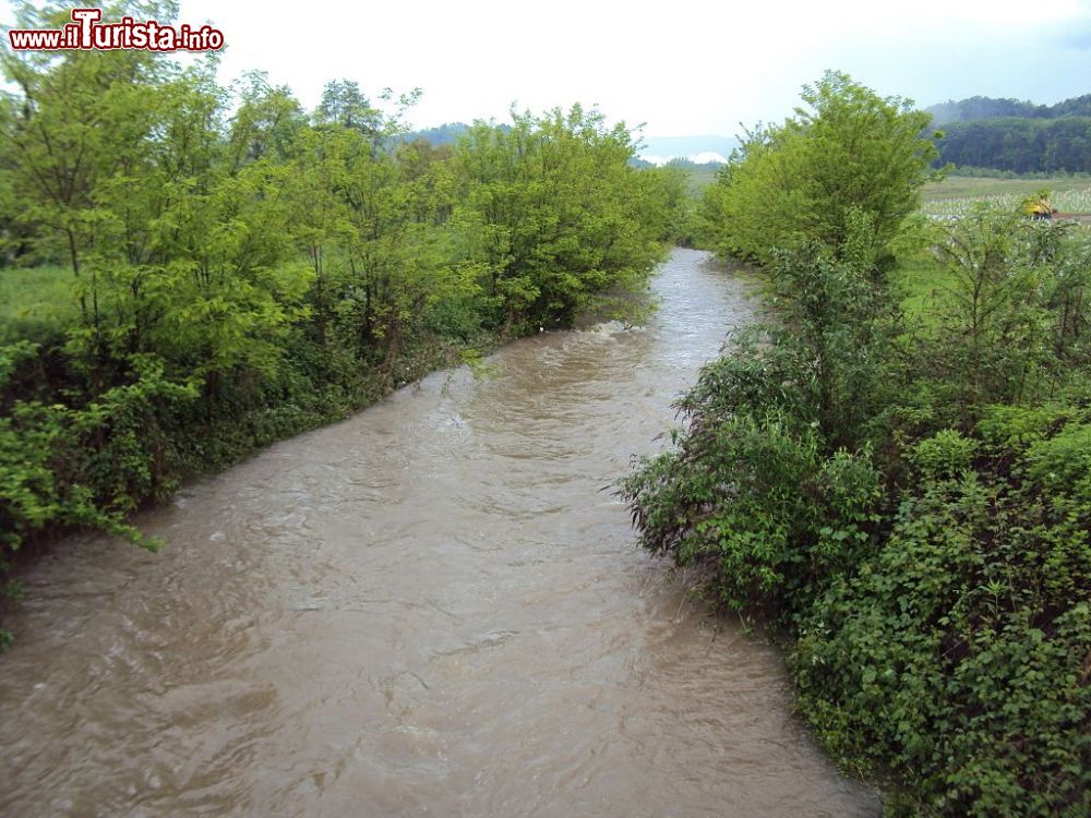 Immagine Il fiume Seveso fotografato a Cantù in Lombardia