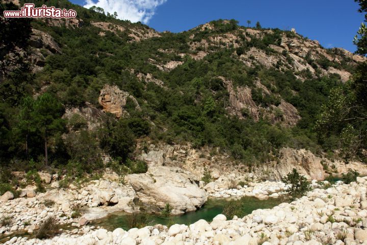 Immagine Il fiume Solenzara incontra le Cime di Bavella, Corsica - la località di Solenzara offre al turista una vasta gamma di possibilità di vacanza: non solo mare dunque, ma anche fiume e montagna. Il fiume Solenzara, nel suo lungo corso, incontra infatti lo splendido massiccio conosciuto come Cime di Bavella o Guglie di Bavella, in uno scenario naturale davvero unico. - © bensliman hassan / Shutterstock.com