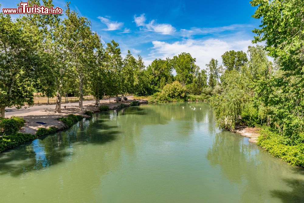 Immagine Il fiume Tejo nel Giardino del Principe a Aranjuez, Madrid, Spagna. Il più lungo corso d'acqua della penisola iberica attraversa la Spagna per circa 716 chilometri.