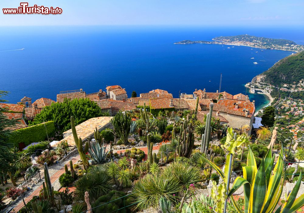 Immagine Il Giardino Botanico di Eze-sur-Mer visto dall'alto, Francia: fra le tantissime piante qui presenti sui terrazzamenti spiccano i cactus e le esotiche.