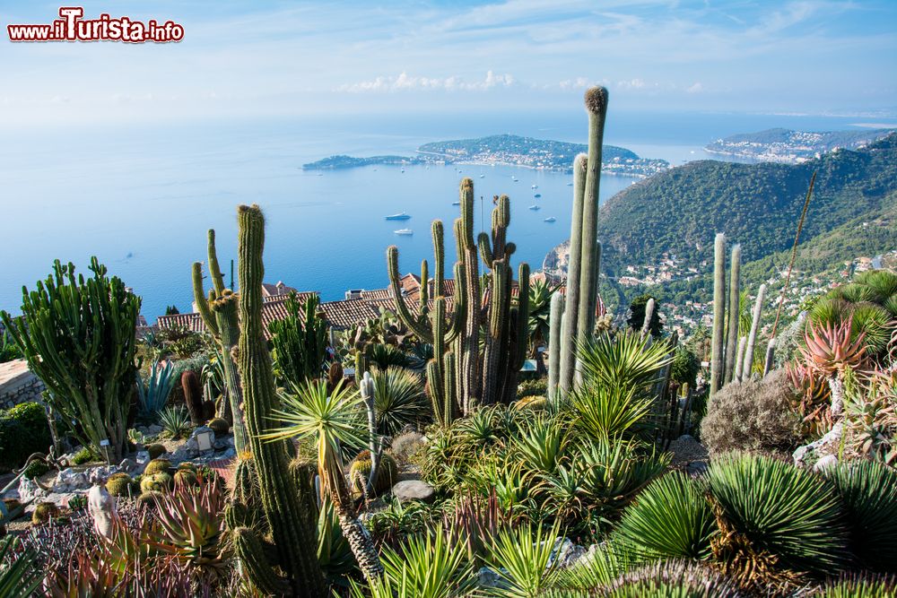 Immagine Il giardino Botanico e il panorama della costa su Eze-sur-Mer in Costa Azzurra.