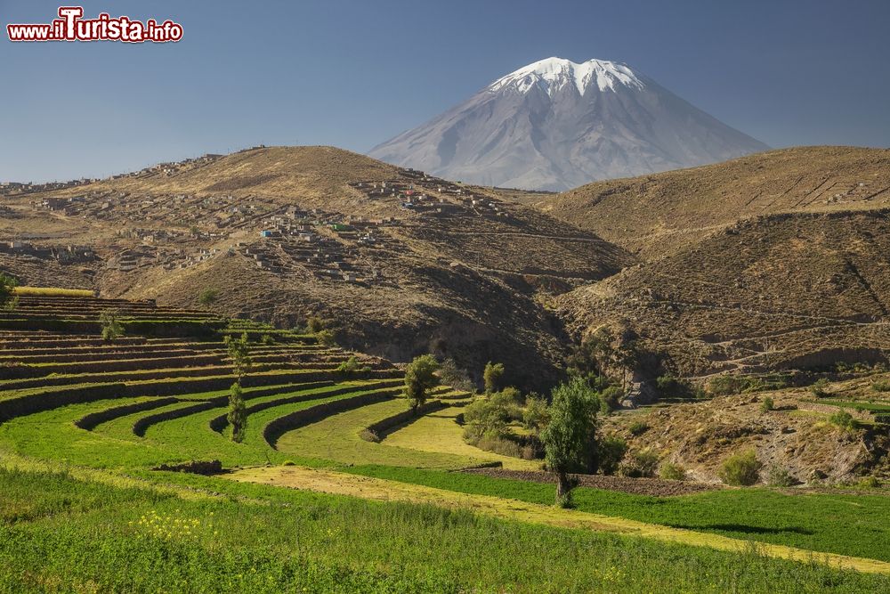 Immagine Il Giardino degli Inca e il vulcano El Misti a Arequipa, Perù. Sulla cima del vulcano una spolverata di neve.