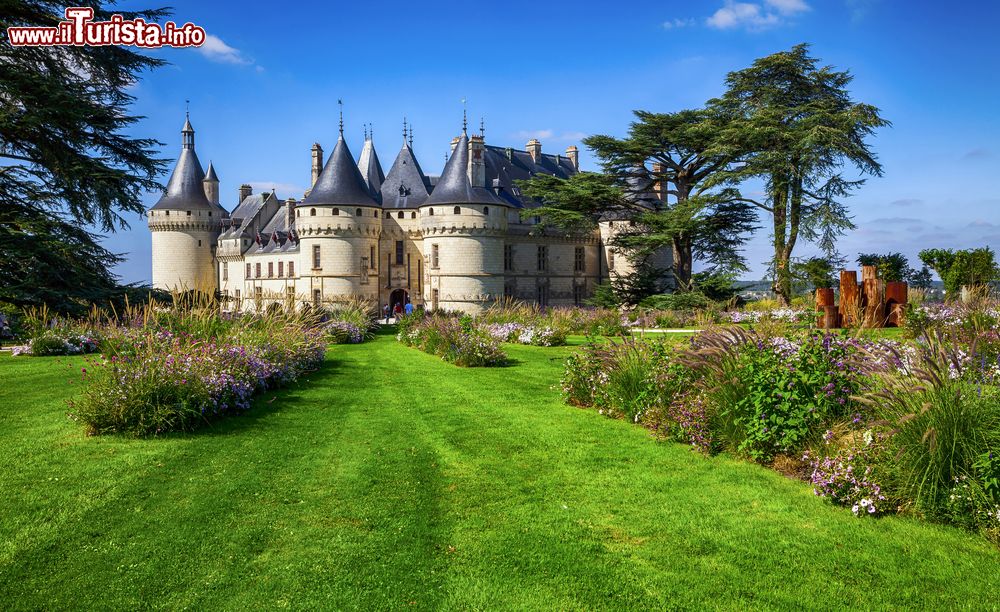 Le foto di cosa vedere e visitare a Chaumont-sur-Loire