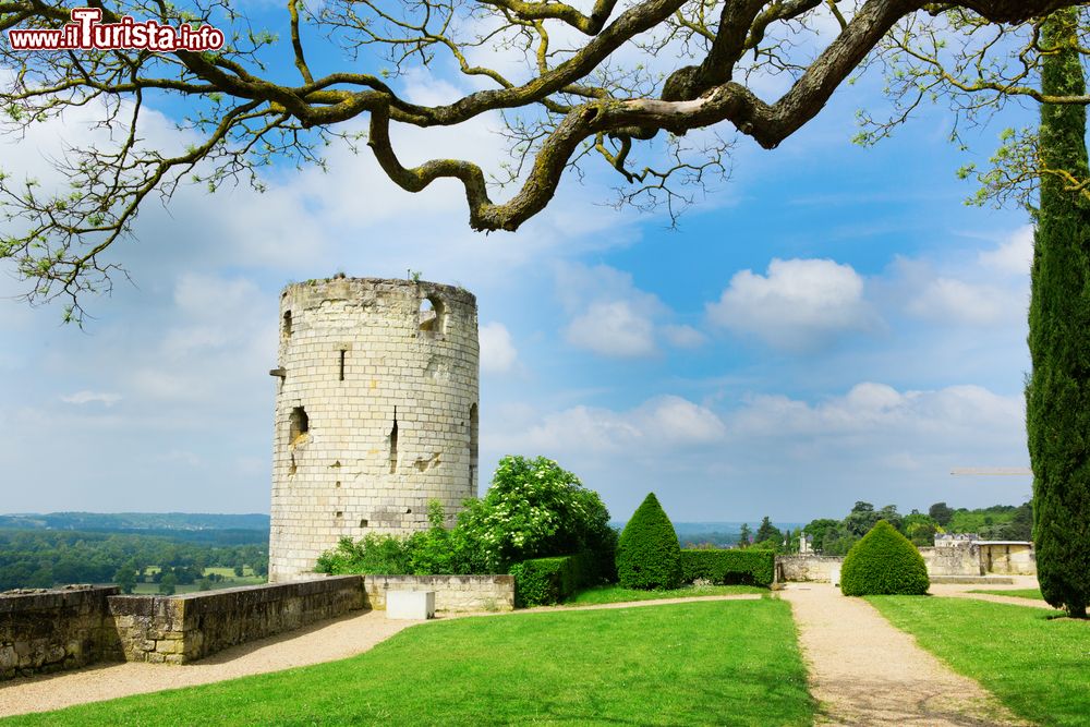 Le foto di cosa vedere e visitare a Chinon