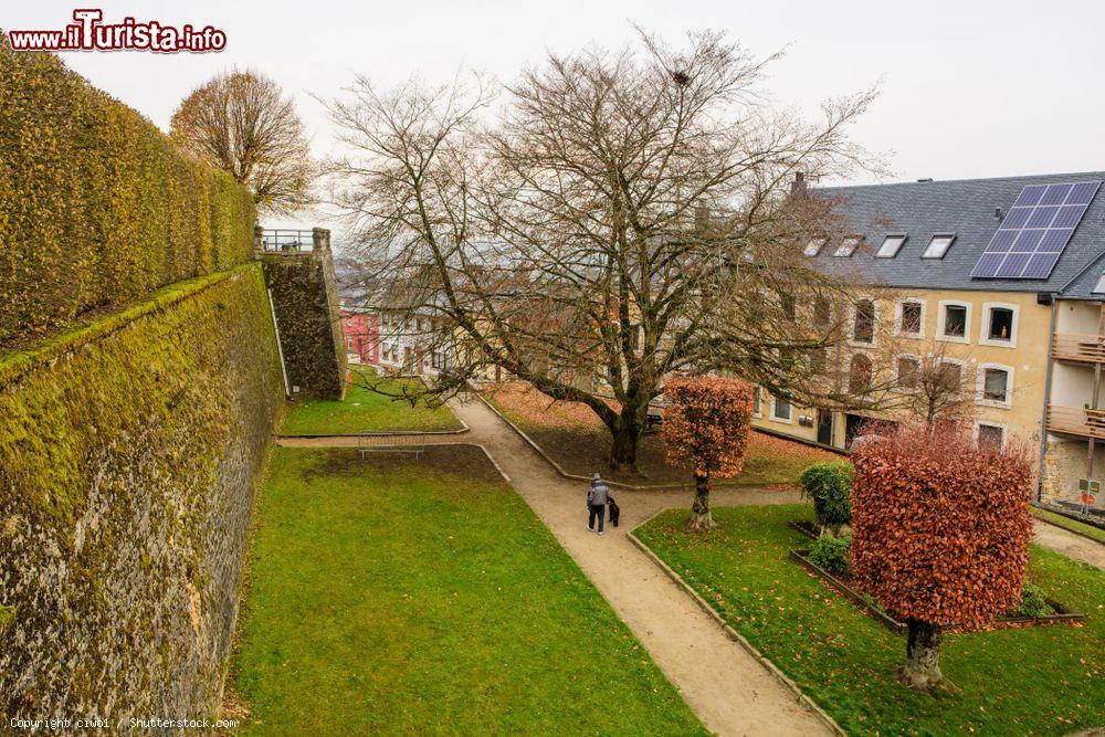Immagine Il giardino della chiesa di San Donato a Arlon (Belgio) in autunno. Questo luogo di culto sorge nel centro della città, esattamente sulla collina utilizzata sin dall'antichità dai Galli e dai Romani che popolavano proprio questo territorio - © ciwo1 / Shutterstock.com