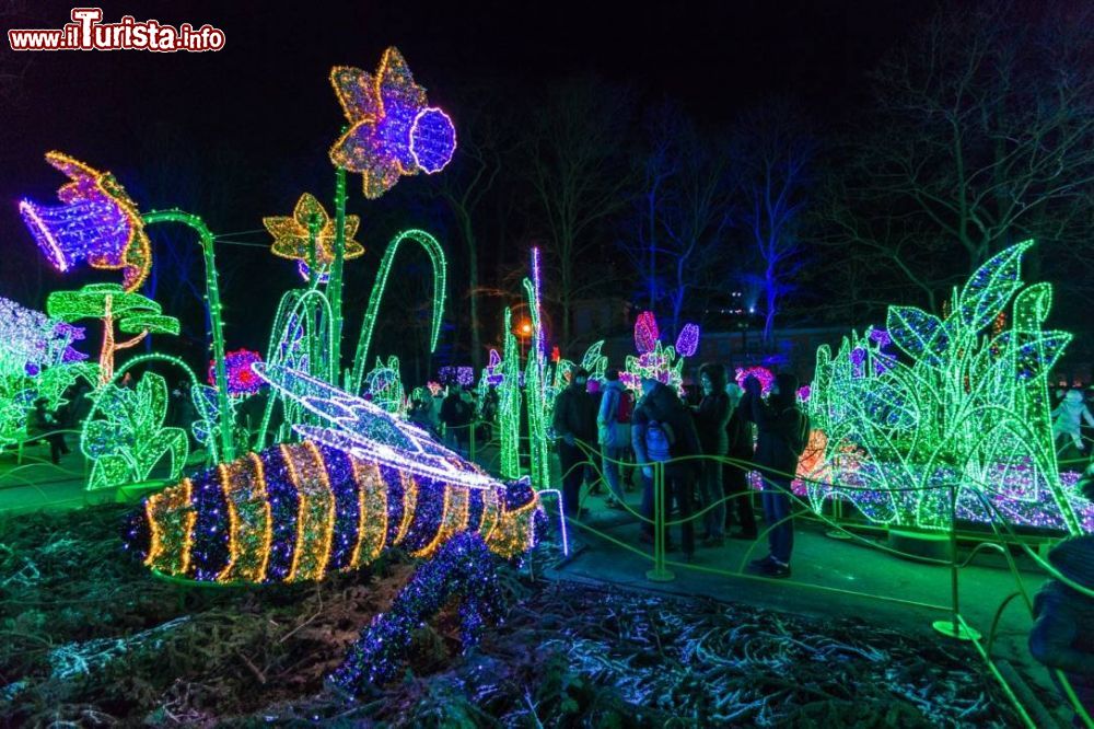 Immagine Il Giardino delle Luci al Palazzo di Wilanow a Varsavia in Polonia