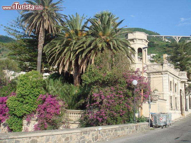 Immagine Il giardino di Villa De Leo a Bagnara Calabra - ©  Domgio82 - CC BY-SA 3.0 - Wikipedia