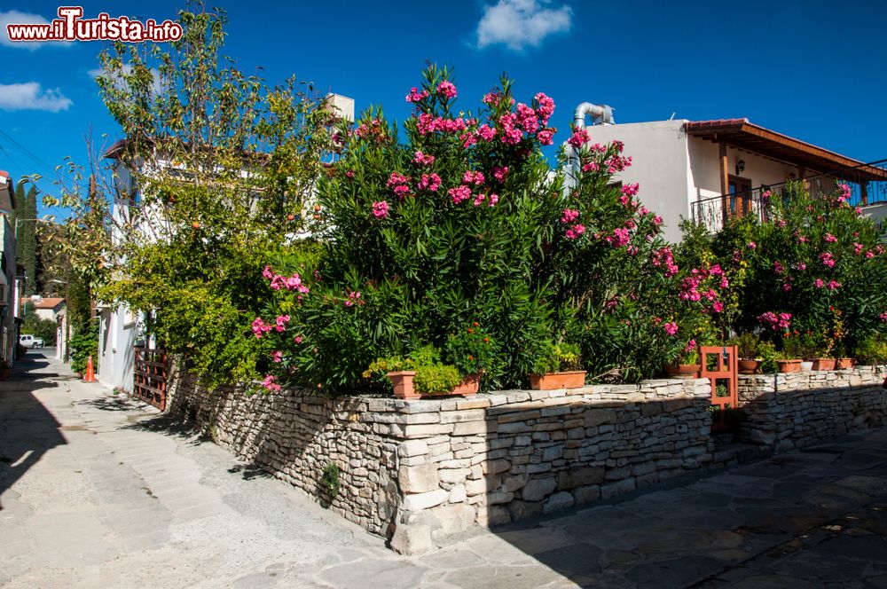 Immagine Il giardino fiorito di una casa nel villaggio di Omodos, isola di Cipro.