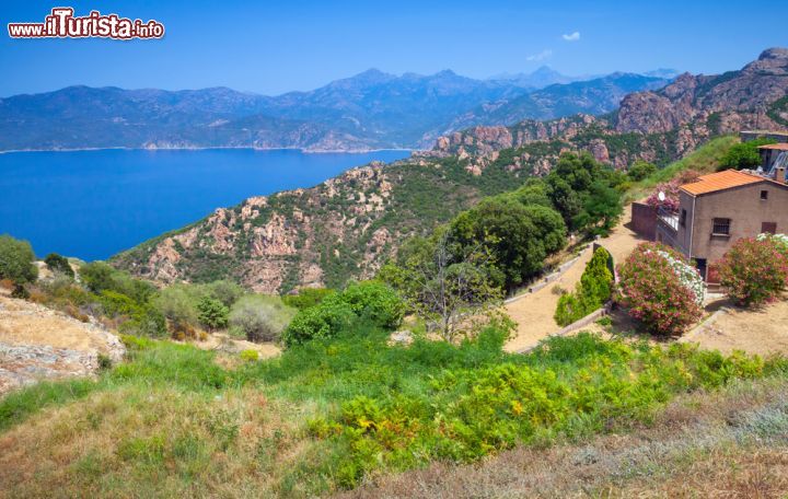 Immagine Il Golfo di Girolata fotografato dai dintorni di Piana in Corsica - © Eugene Sergeev / Shutterstock.com