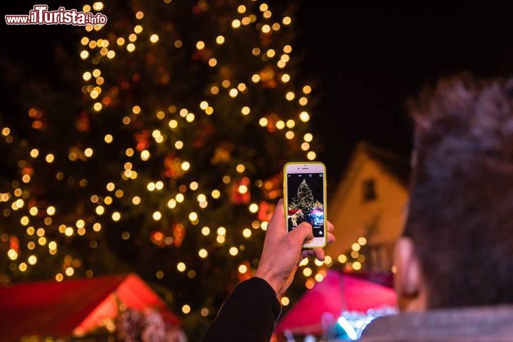 Immagine Il grande albero di Natale ai mercatini di Santa Maria Maggiore