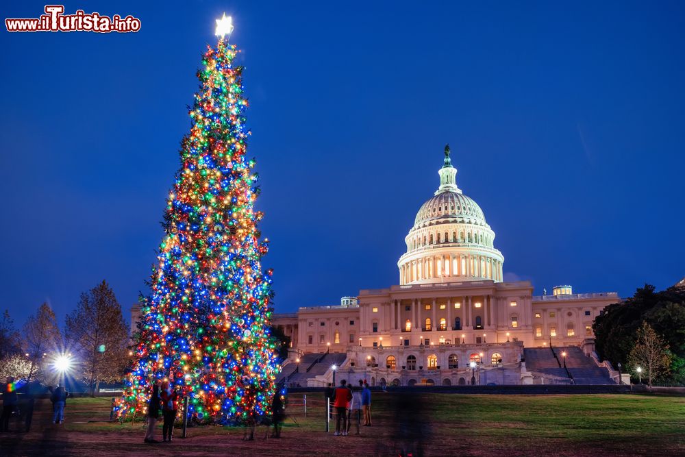 Immagine Il grande albero di Natale al Capitol di Washington D.C. negli USA - ©  Belikova Oksana / Shutterstock.com