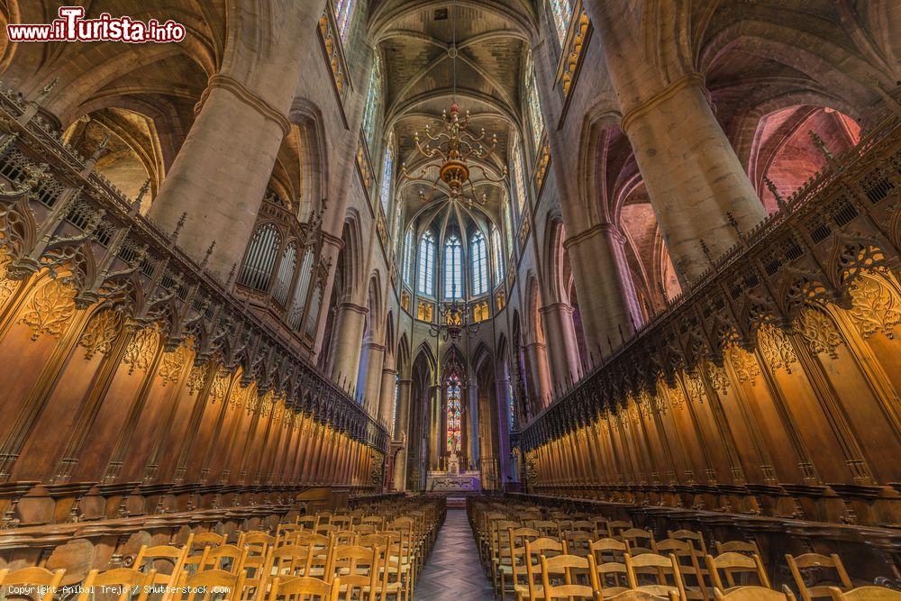Immagine Il grande coro all'interno della grande Cattedrale di Rodez in Francia - © Anibal Trejo / Shutterstock.com