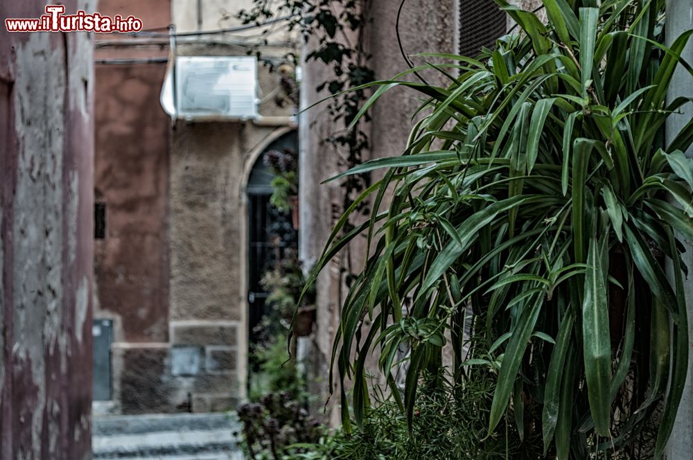 Immagine Il grazioso scorcio di un vicolo nel centro storico di Sassari, Sardegna, con piante e vegetazione.