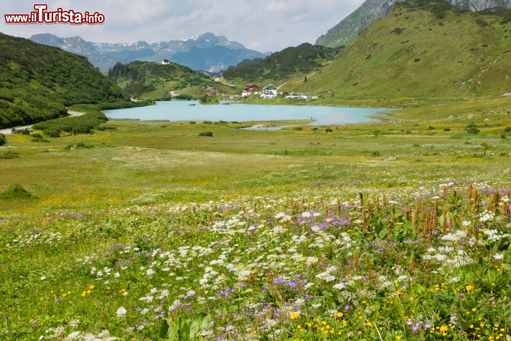 Immagine Il lago artificiale Kops a Zeinisjoch nei pressi di Galtur, Austria, con prati fioriti in primo piano. 