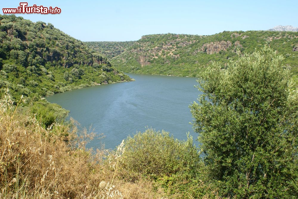 Immagine Il lago Cedrino una delle escursioni da Galtellì in Sardegna