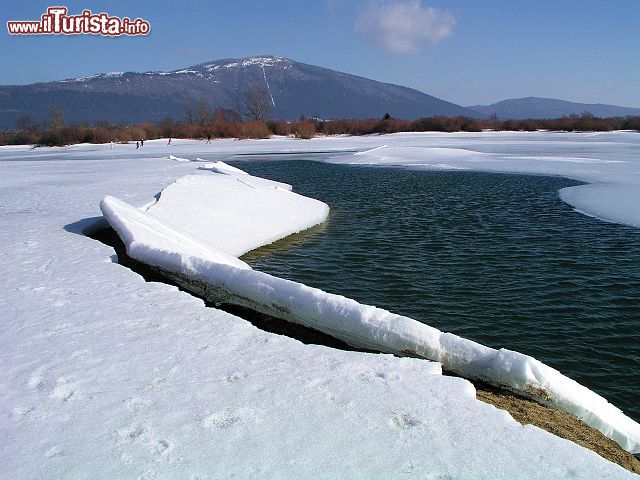 Immagine Il lago Circonio, Cerknisko Jezero, Slovenia - Fotografato in inverno e ricoperto da una coltre di neve, il lago effimero della Slovenia è una delle mete turistiche da non perdere quando si visita la regione della Carniola