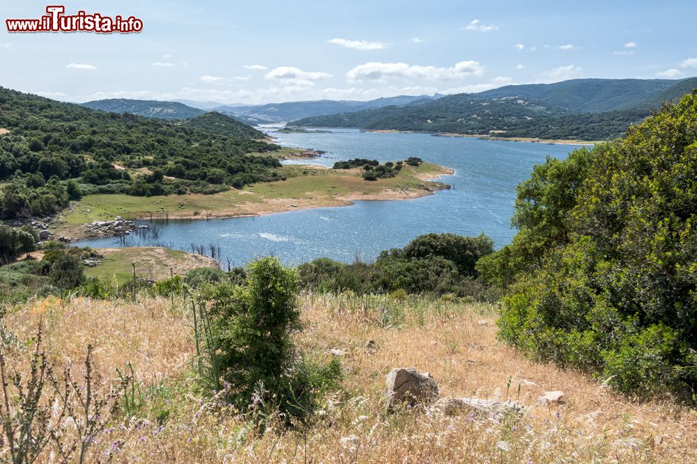 Immagine Il lago del Liscia a nord di Calangianus in Sardegna