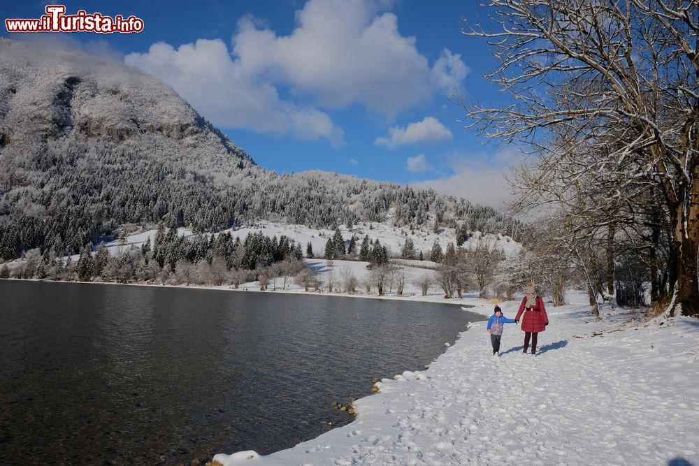 Immagine Il lago di  Bohinj, nel parco nazionale Triglav, in una mattina d'inverno, Slovenia. Lo si raggiunge proseguendo per la strada che porta al lago di Bled; la strada asfaltata finsice proprio alla fine di questo bacino d'acqua che ha una profondità massima di 44 metri.