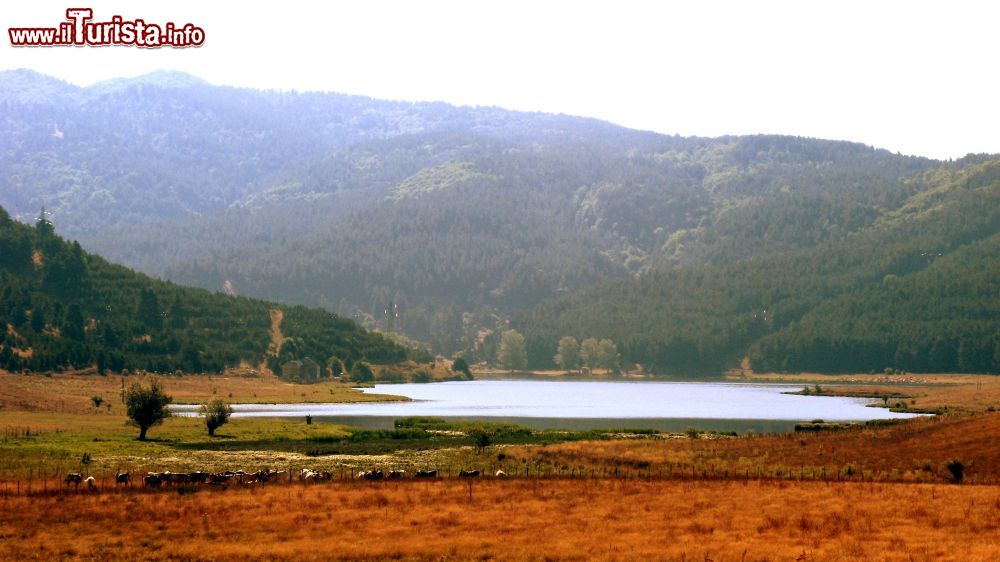 Immagine Il Lago di Ariamacina in Calabria, uno dei più belli della regione - © Emanuele Guerrieri, CC BY-SA 2.0, Wikipedia