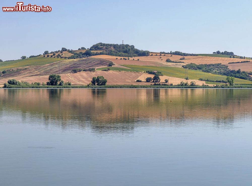 Immagine Il Lago di Chiusi in Val di Chiana in Toscana