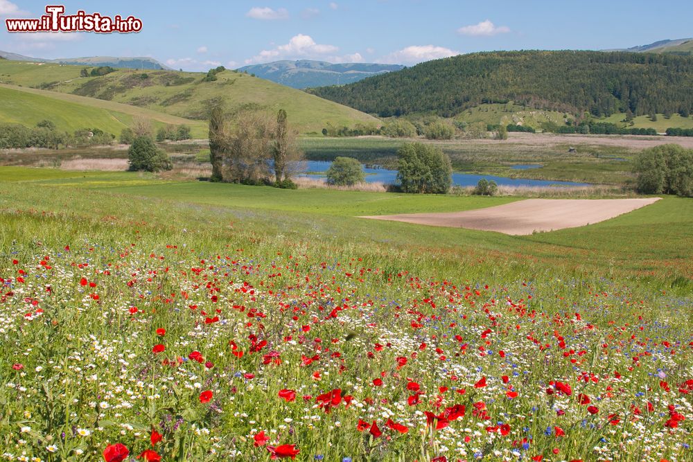 Le foto di cosa vedere e visitare a Colfiorito