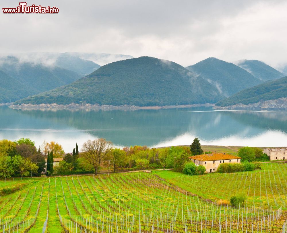 Immagine Il Lago di Corbara in umbria