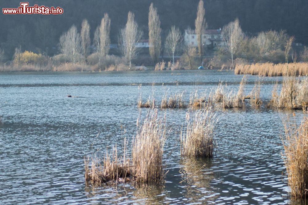 Immagine Il lago di Fimon sui Monti Berici a sud di Vicenza