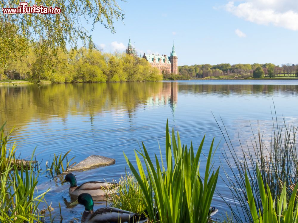 Immagine Il lago di Frederiksborg e il castello a Hillerod, Danimarca.