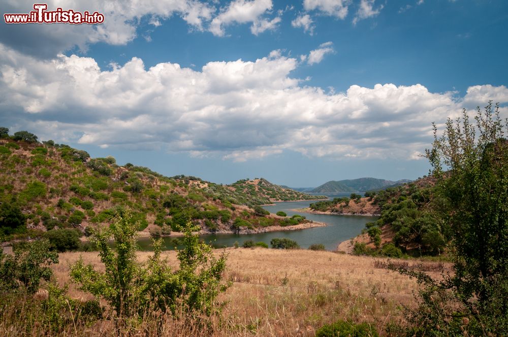 Immagine Il Lago di Mulargia una delle classiche escursioni da Gesico in Sardegna