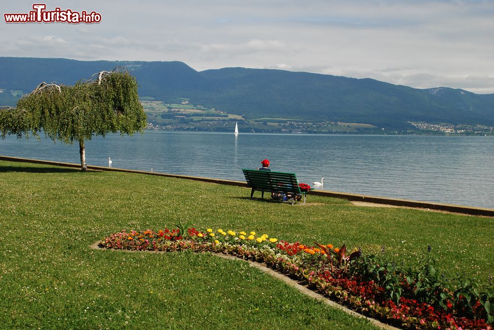 Immagine Il Lago di Neuchâtel in Svizzera visto dalla passeggiata di Estavayer-le-Lac.