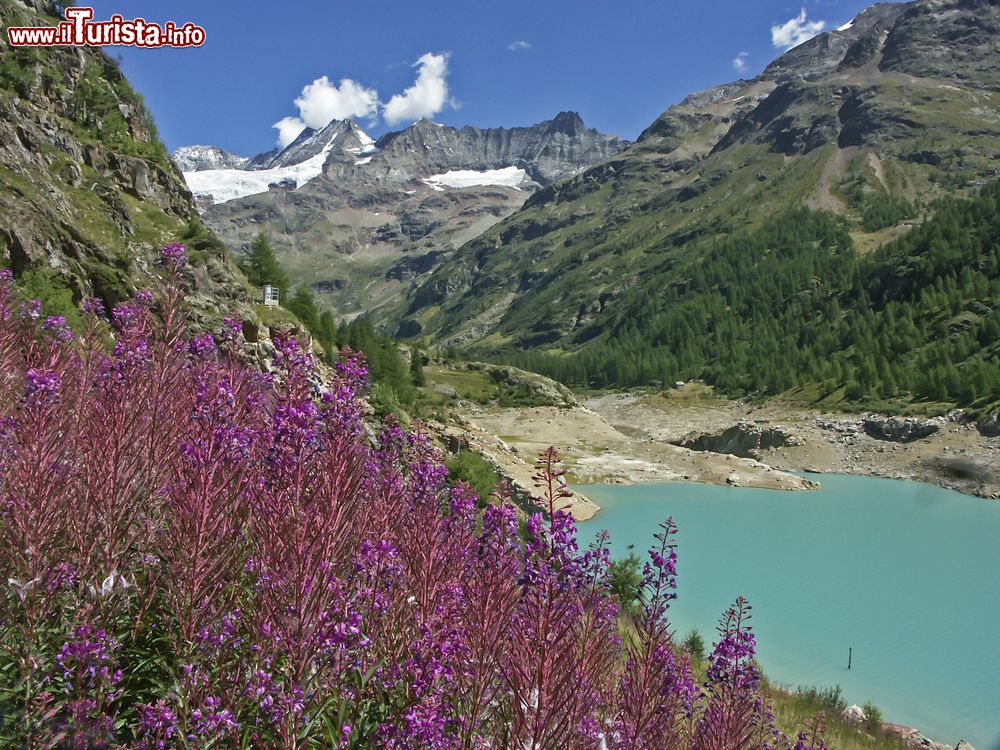 Immagine Il Lago di Place Moulin è il più grande della Valle d'Aosta