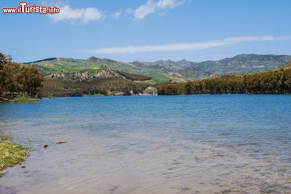 Immagine Il Lago di Pozzillo si trova nel territorio di Regalbuto in Sicilia. Durante la stagione invernale diventa il algo più grande di tutta la Sicilia