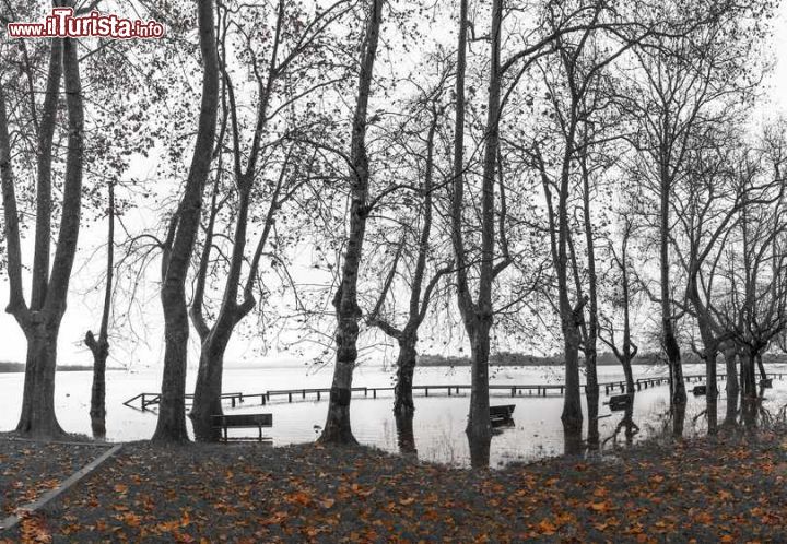 Immagine Il lago di Varese nella stagione autunnale visto da Gavirate, Lombardia © 231618073 / Shutterstock.com