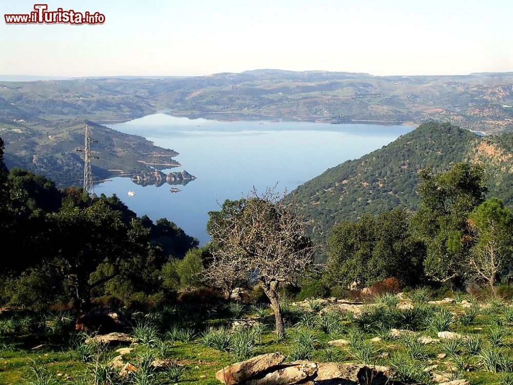 Immagine Il Lago Mulargia non lontano da Siurgus Donigala in Sardegna - © ggalleri, CC BY 3.0, Wikipedia