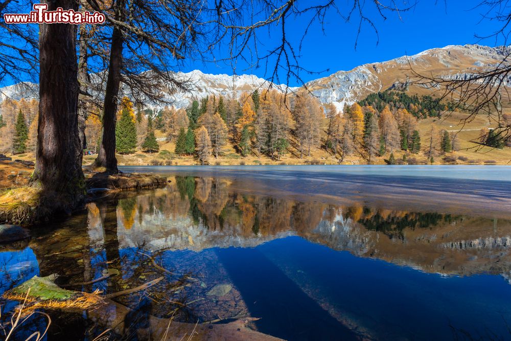 Immagine Il lago Palpuogna vicino al passo dell'Albula non lontano da Bergun, cantone dei Grigioni, Svizzera