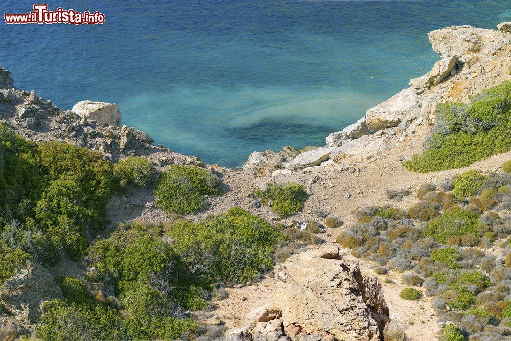 Immagine Il litorale della piccola isola di Telendos (Grecia) dall'alto: mare blu e vegetazione rigogliosa per questo paesaggio naturale.
