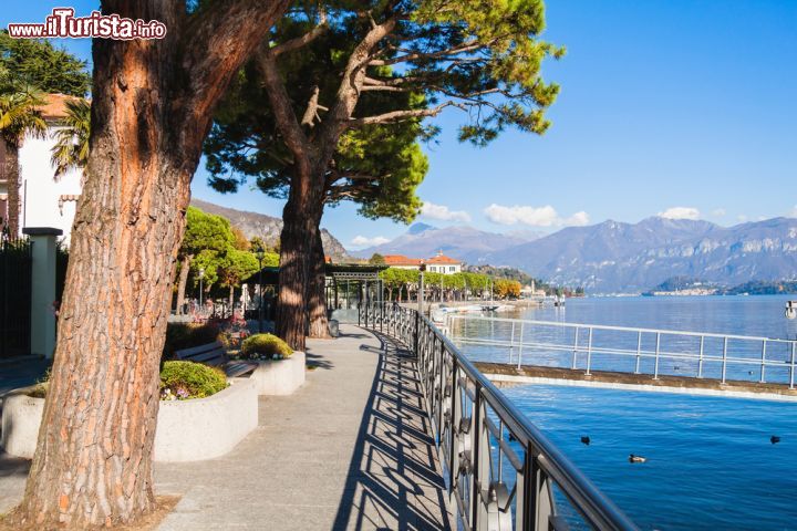 Immagine Il lungolago di Lenno: la località della Lombardia è famosa per il suo clima mite. - © fischers / Shutterstock.com