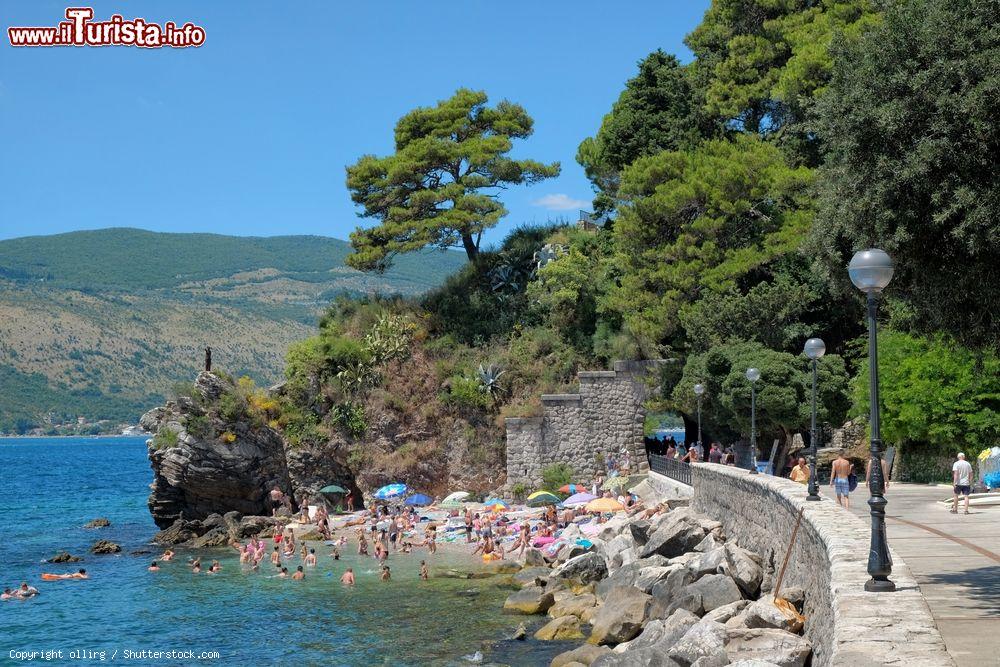 Immagine Il lungomare di Castelnuovo (Herceg Novi) nel Montenegro - © ollirg / Shutterstock.com