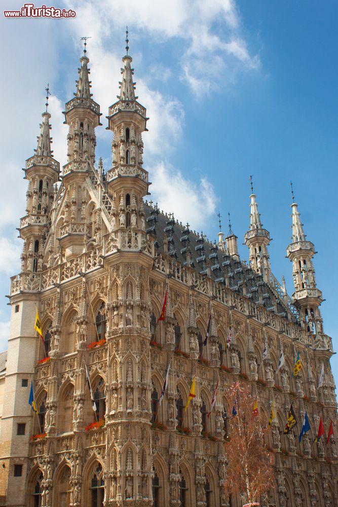 Immagine Il maestoso Palazzo Municipale di Leuven in Grote Markt (Belgio). Costruito fra il 1448 e il 1559, questo edificio in gotico brabantino è uno dei capolavori della città.