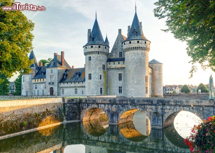 Immagine Il maniero di Sully-sur-Loire è uno dei più celebri castelli della Loira - © Viacheslav Lopatin / Shutterstock.com