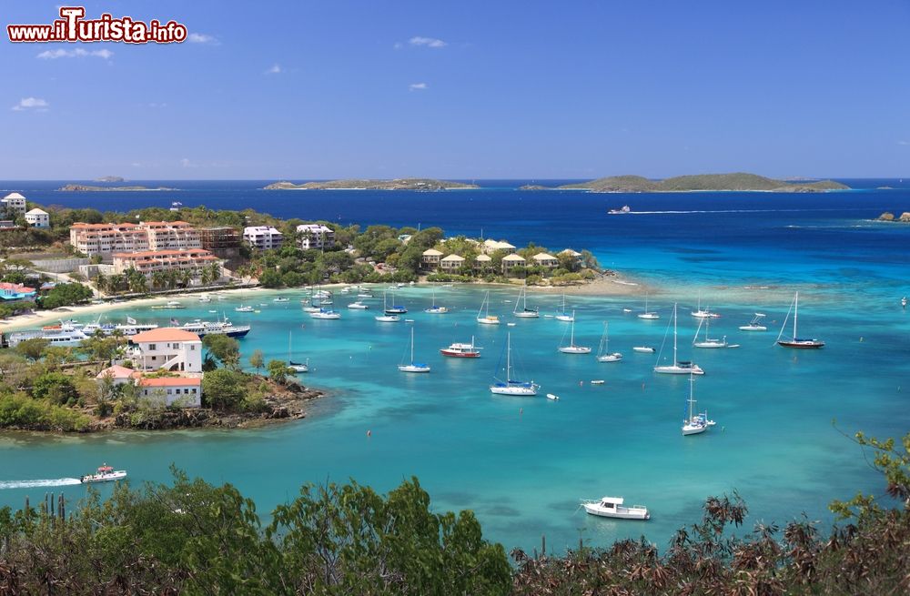 Immagine Il Mar dei Caraibi alle Isole Vergini Americane: barche e yachts ormeggiati nell'acqua trasparente del porto.