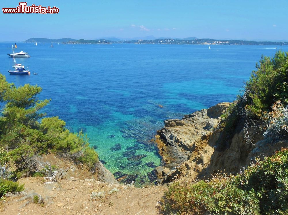 Immagine Il mare cristallino che circonda l'isola di Porquerolles, Hyères (Francia). Dopo la Corsica, Porquerolles è la seconda isola più grande della Francia.