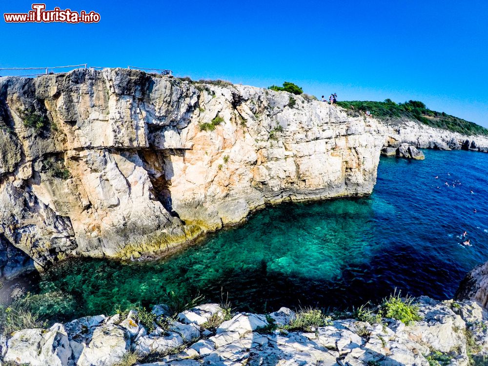 Immagine Il mare cristallino del Parco Nazionale Kamenjak  a Premantura in Istria (Croazia)