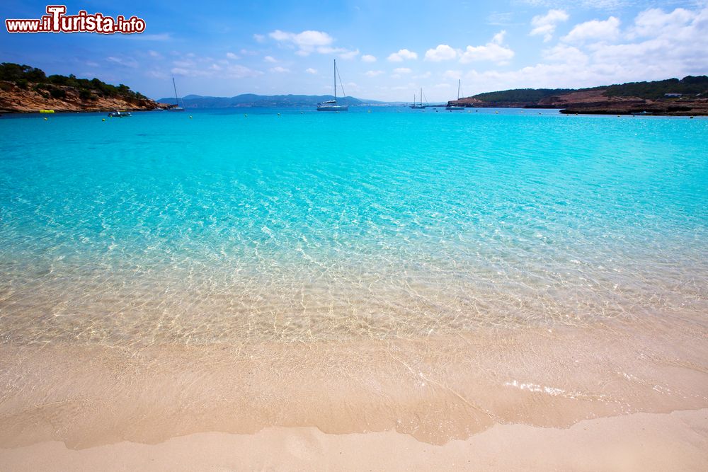 Immagine Il mare cristallino di Cala Bassa a Ibiza, Isole Baleari, Mediterraneo