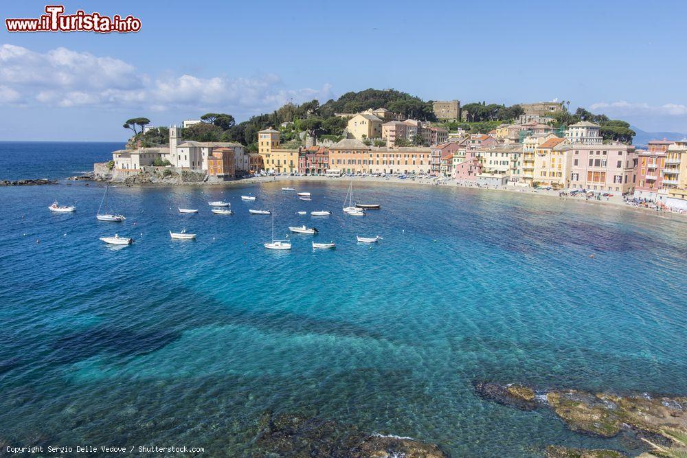 Immagine Il mare cristallino di Sestri Levante (provincia di Genova) con un tratto di spiaggia e le tipiche case colorate - © Sergio Delle Vedove / Shutterstock.com