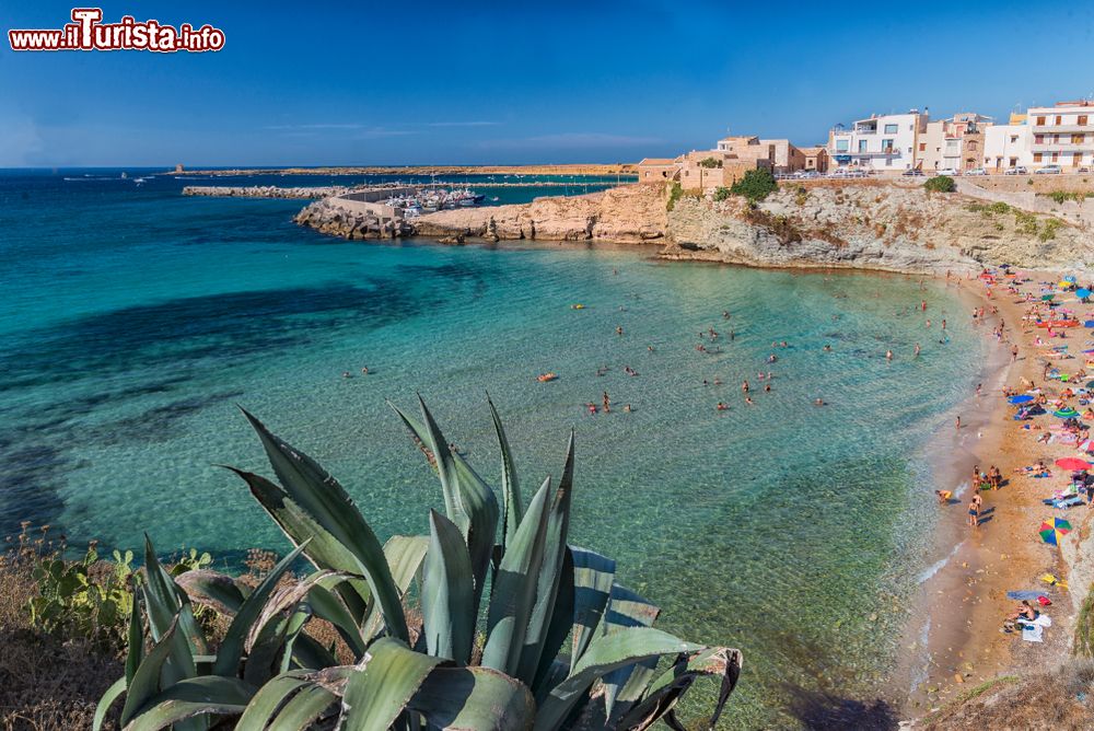 Immagine Il mare cristallino e una bella spiaggia a Terrasini, costa nord-occidentale della Sicilia